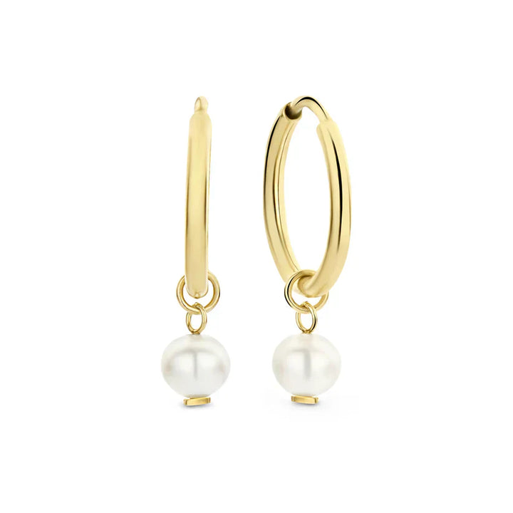 Delia™ - Gold Crest Earrings