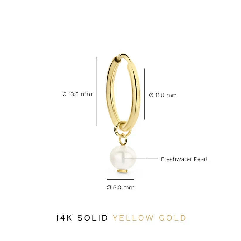 Delia™ - Gold Crest Earrings